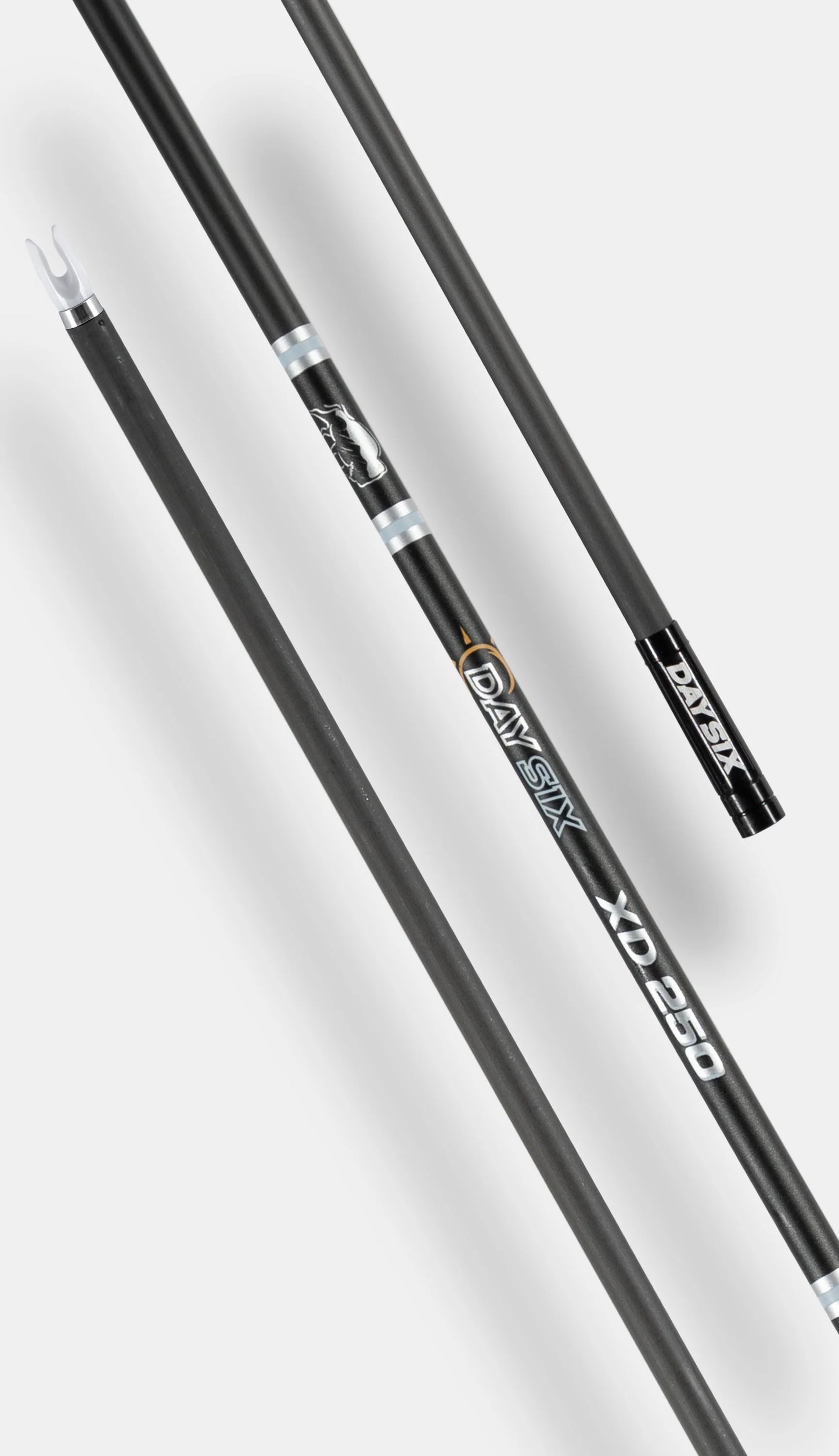 DAY SIX XD (1 DZ) Bare image 0